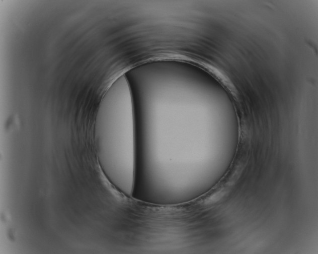 X0000097790905200803070932