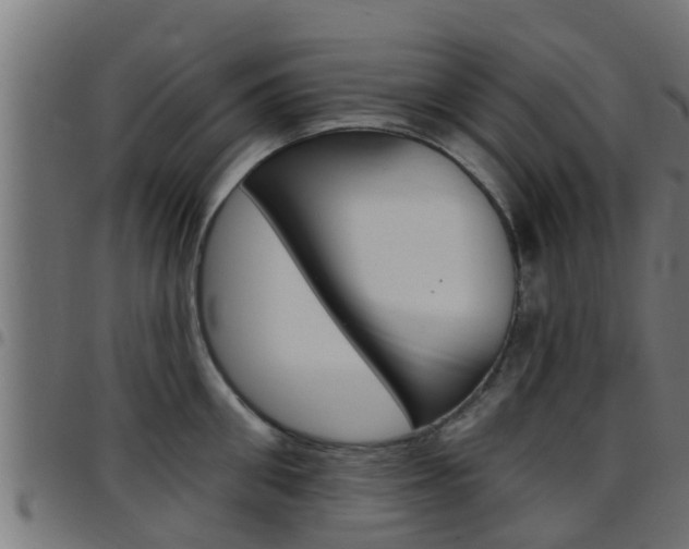 X0000097790906200803070932