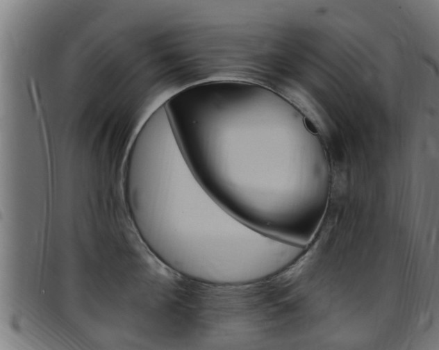 X0000097790908200803070932