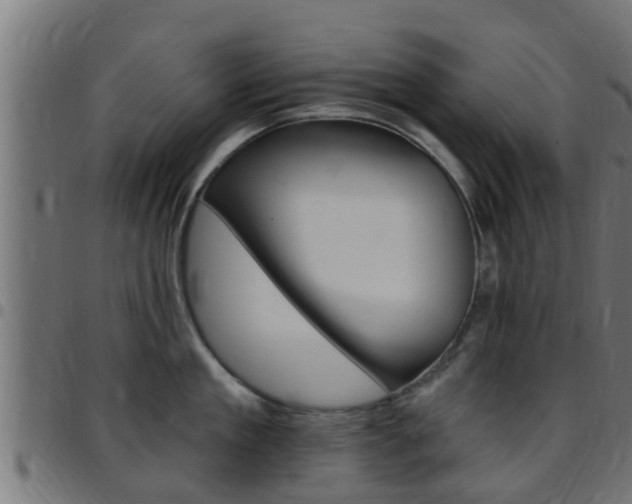 X0000097790909200803070932