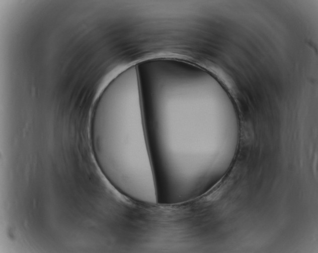 X0000097790910200803070932