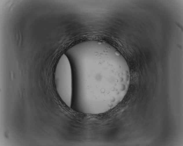 X0000097790913200803070932