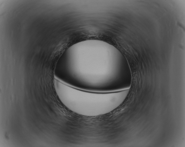 X0000097790916200803070932