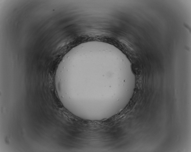 X0000097790917200803070932