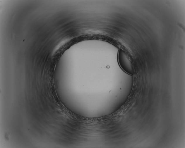 X0000097790919200803070932