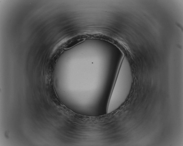 X0000097790920200803070932