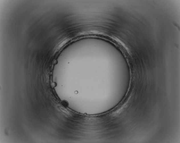 X0000097790921200803070932