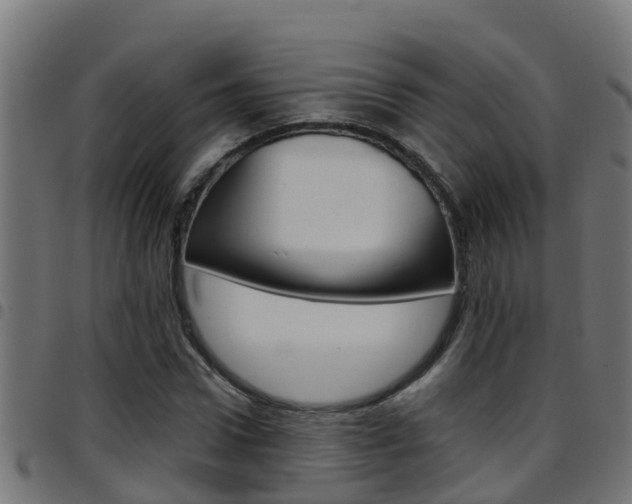 X0000097790922200803070932