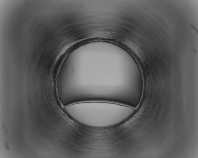 X0000097790923200803070932