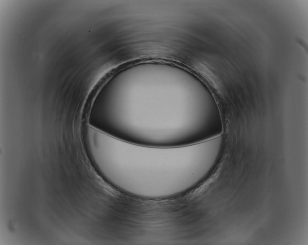 X0000097790924200803070932