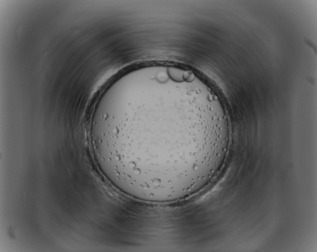 X0000097790925200803070932