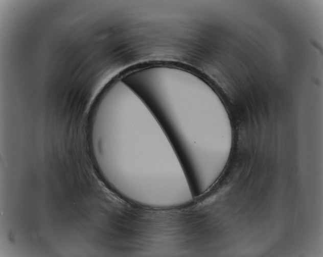 X0000097790926200803070932