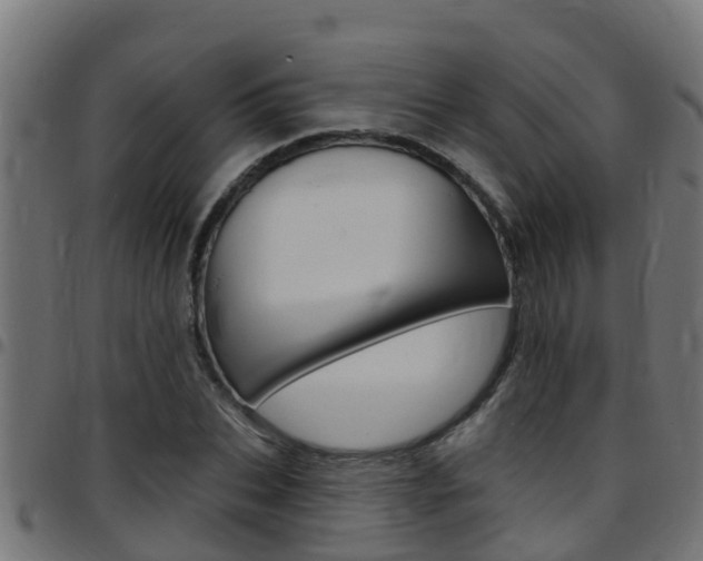 X0000097790927200803070932