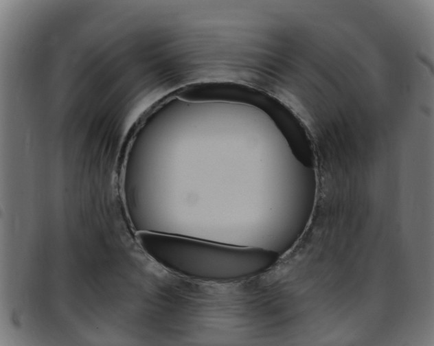 X0000097790928200803070932
