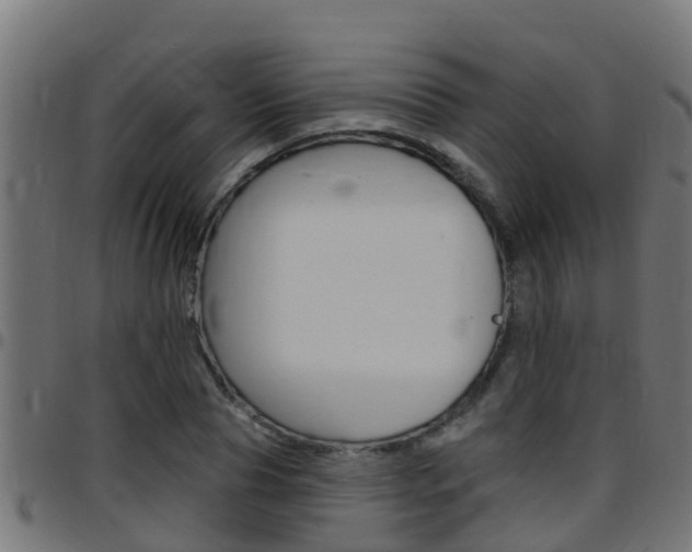 X0000097790929200803070932