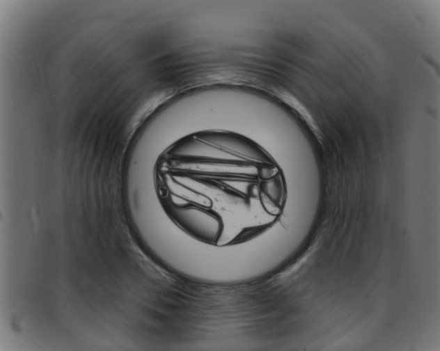 X0000097790930200803070932