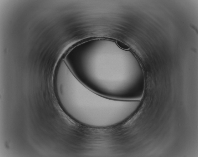 X0000097790932200803070932