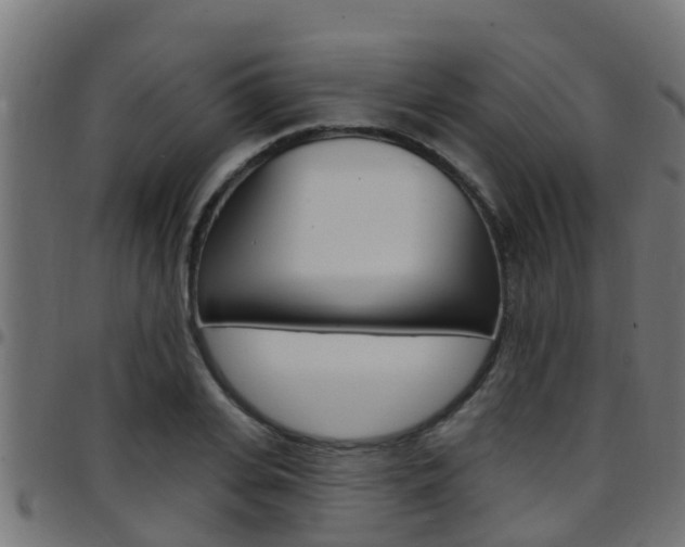 X0000097790935200803070932