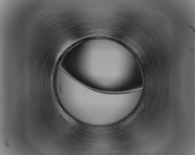X0000097790936200803070932