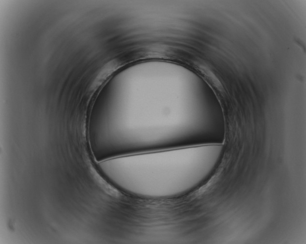X0000097790938200803070932