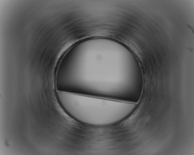 X0000097790939200803070932