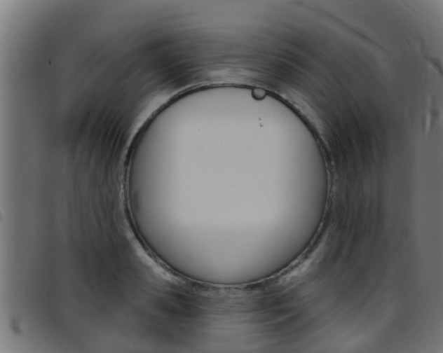 X0000097790941200803070932