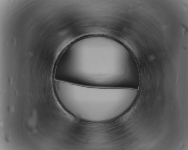X0000097790943200803070932