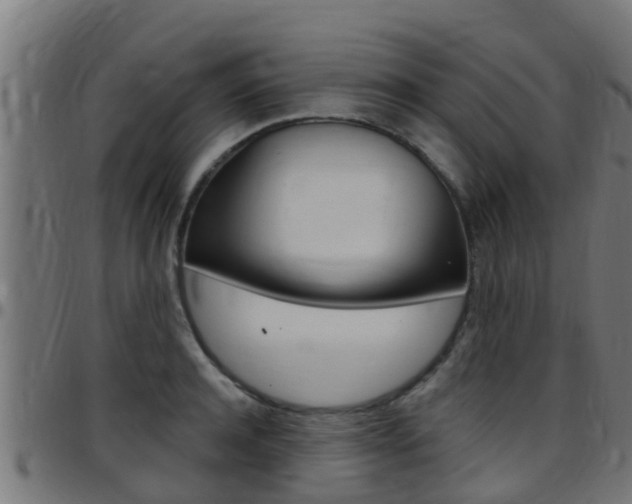 X0000097790944200803070932