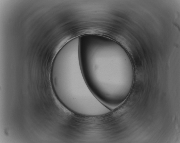 X0000097790946200803070932