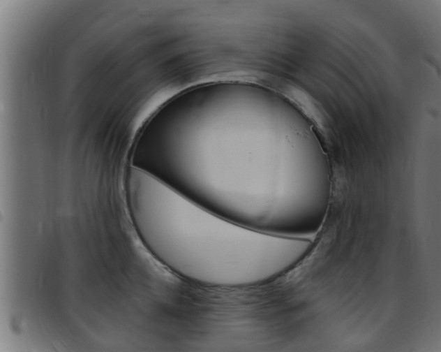 X0000097790952200803070932