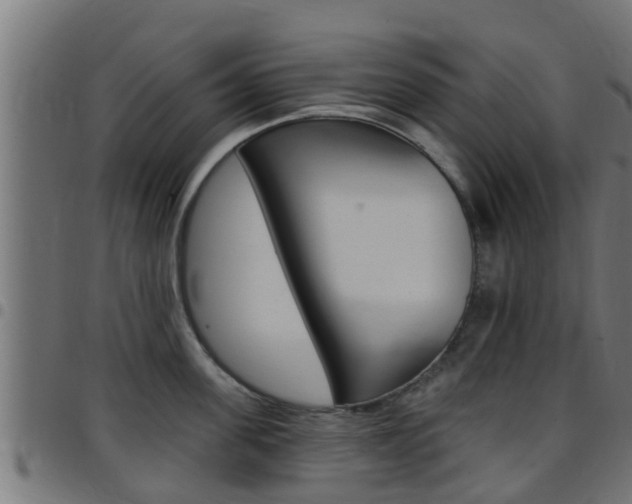 X0000097790955200803070932