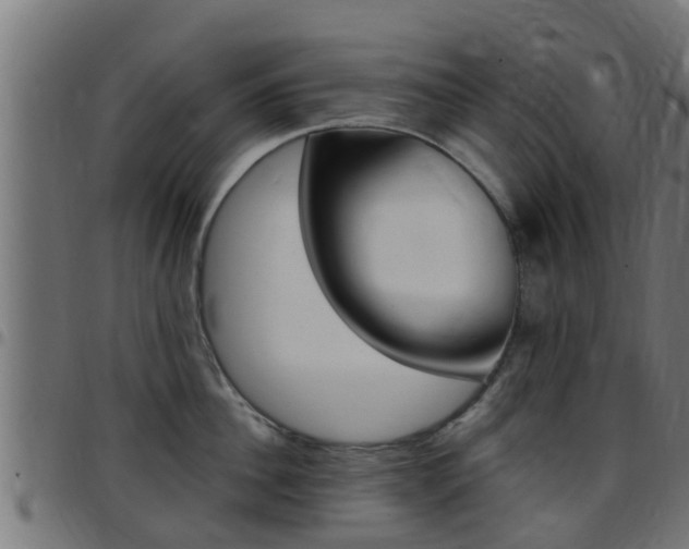 X0000097790956200803070932