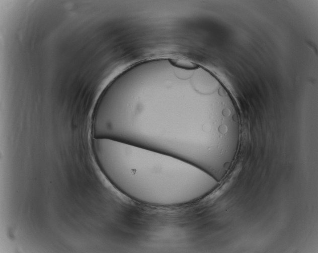 X0000097790957200803070932