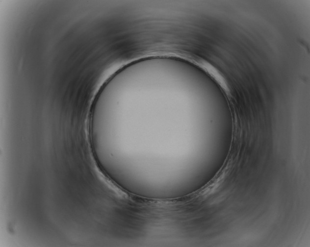 X0000097790958200803070932
