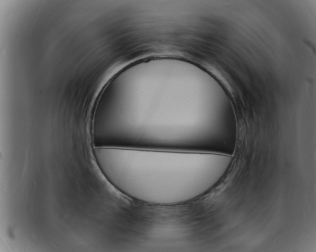 X0000097790959200803070932