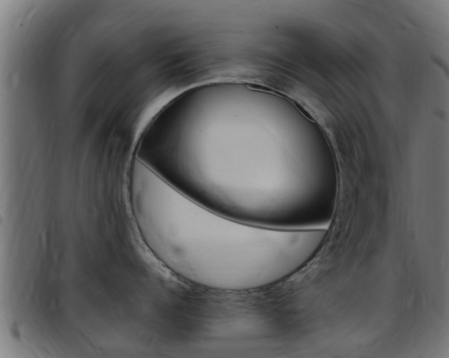 X0000097790960200803070932