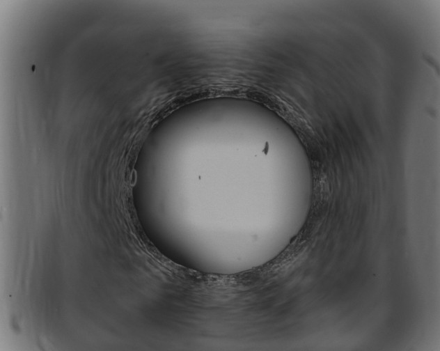 X0000097790961200803070932