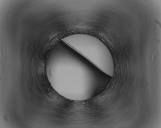 X0000097790964200803070932