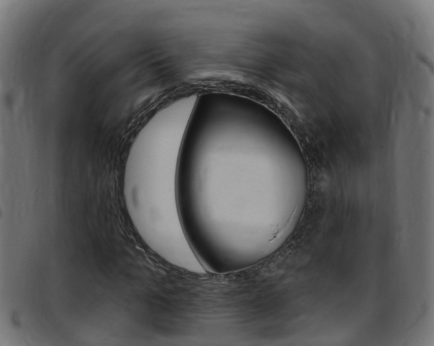 X0000097790965200803070932