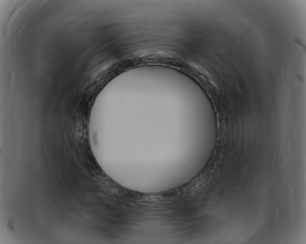 X0000097790966200803070931