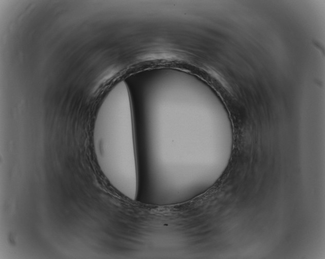 X0000097790967200803070931