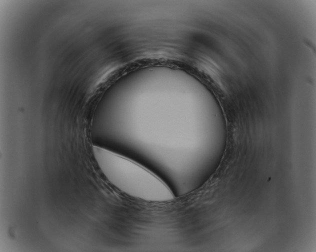 X0000097790968200803070931