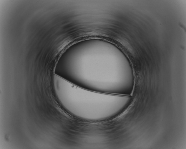 X0000097790969200803070931