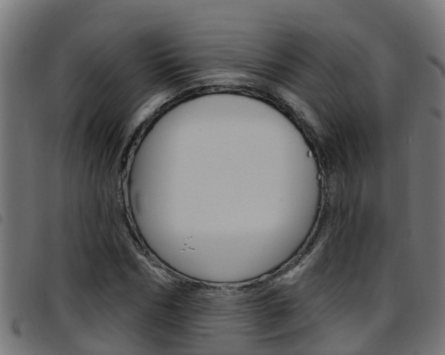 X0000097790970200803070931
