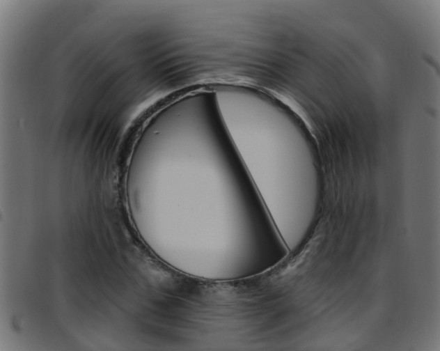 X0000097790971200803070931