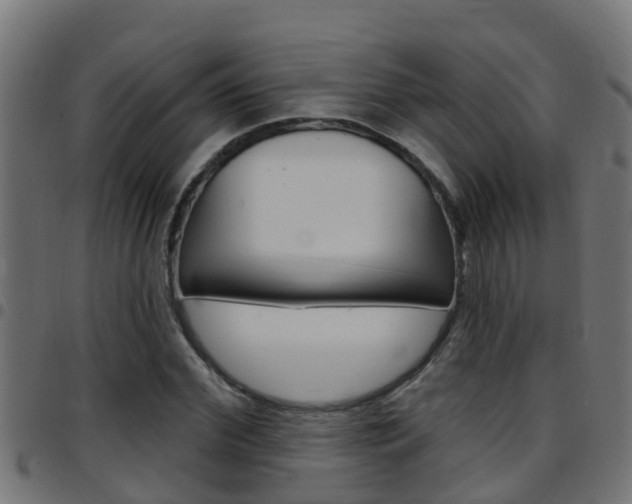 X0000097790972200803070931