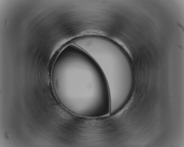 X0000097790973200803070931