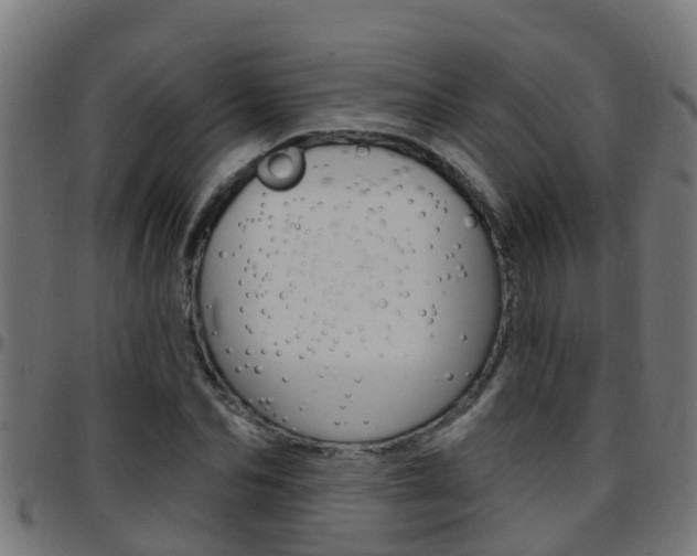 X0000097790974200803070931