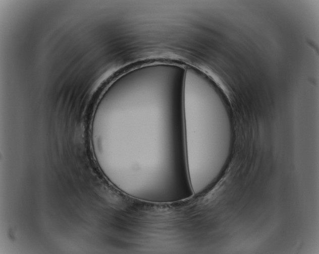 X0000097790975200803070931