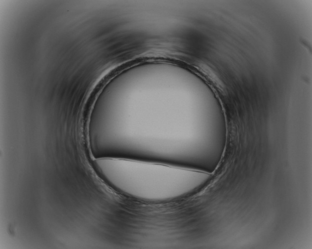 X0000097790976200803070931